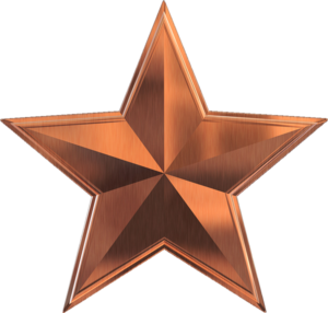 Star Bronze - 1941 Club